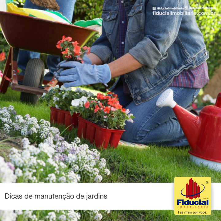 Dicas de manuten&ccedil;&atilde;o de jardins