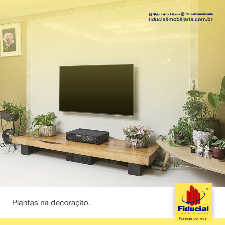 Plantas na decoração